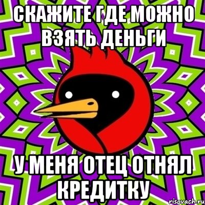 Скажите где можно взять деньги у меня отец отнял кредитку, Мем Омская птица