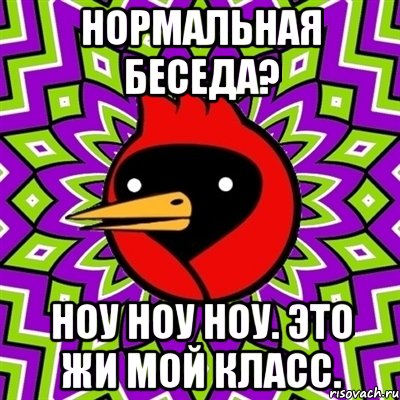 Нормальная беседа? Ноу Ноу Ноу. Это жи мой класс., Мем Омская птица