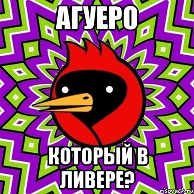Агуеро Который в ливере?, Мем Омская птица
