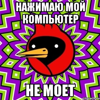 нажимаю мой компьютер не моет, Мем Омская птица