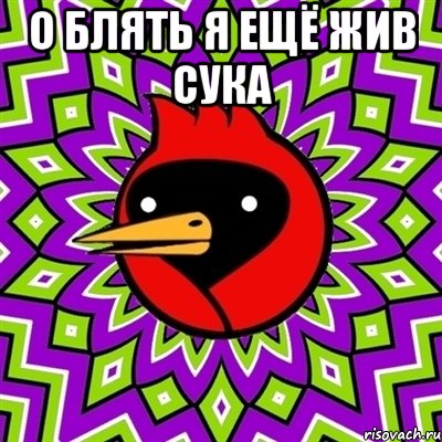 о блять я ещё жив сука , Мем Омская птица