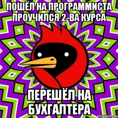 Пошёл на программиста проучился 2-ва курса перешёл на бухгалтера, Мем Омская птица