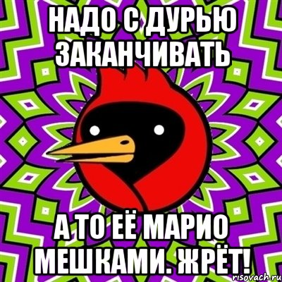 надо с дурью заканчивать а то её марио мешками. жрёт!, Мем Омская птица