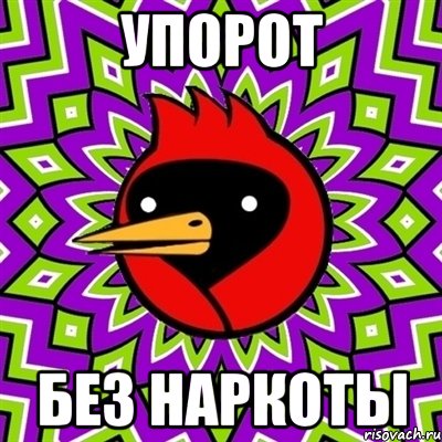 упорот без наркоты, Мем Омская птица