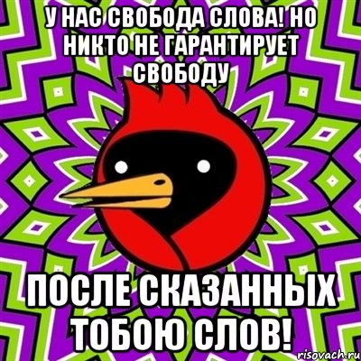 У нас свобода слова! Но никто не гарантирует свободу после сказанных тобою слов!, Мем Омская птица