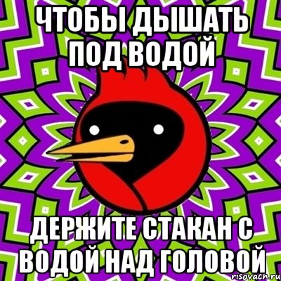 ЧТОБЫ ДЫШАТЬ ПОД ВОДОЙ ДЕРЖИТЕ СТАКАН С ВОДОЙ НАД ГОЛОВОЙ, Мем Омская птица