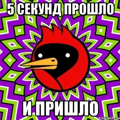 5 секунд прошло и пришло, Мем Омская птица