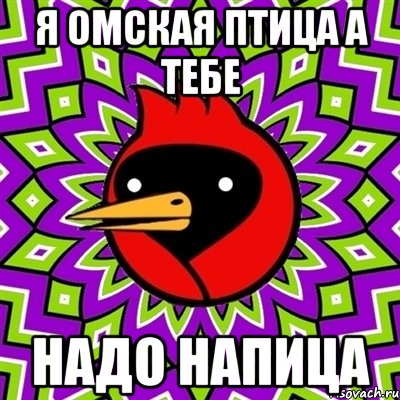 я омская птица а тебе надо напица, Мем Омская птица