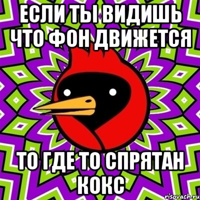если ты видишь что фон движется то где то спрятан КОКС, Мем Омская птица