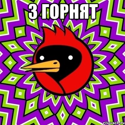 з горнят , Мем Омская птица