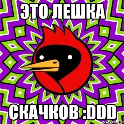 Это лешка Скачков :DDD, Мем Омская птица