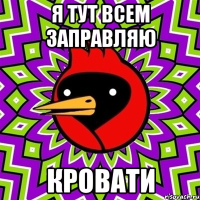 Я ТУТ ВСЕМ ЗАПРАВЛЯЮ КРОВАТИ, Мем Омская птица