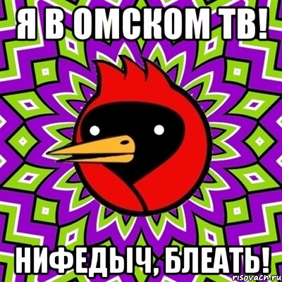 Я в Омском ТВ! Нифедыч, блеать!, Мем Омская птица
