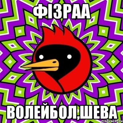 Фізраа Волейбол,шева, Мем Омская птица