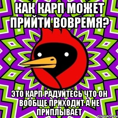 как карп может прийти вовремя? это карп радуйтесь что он вообще приходит а не приплывает, Мем Омская птица
