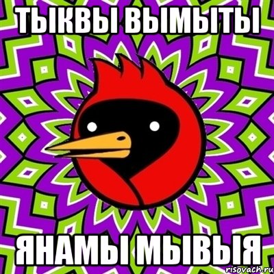 Тыквы вымыты янамы мывыя, Мем Омская птица