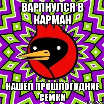 варпнулся в карман нашёл прошлогодние семки, Мем Омская птица