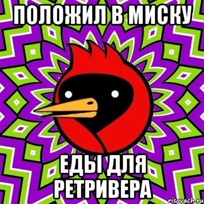 положил в миску еды для ретривера, Мем Омская птица