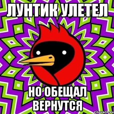 Лунтик улетел Но обещал вернутся, Мем Омская птица