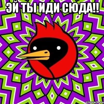 ЭЙ ты иди сюда!! , Мем Омская птица
