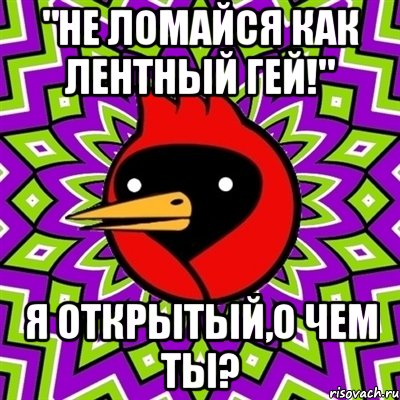 "Не ломайся как лентный гей!" я открытый,о чем ты?, Мем Омская птица