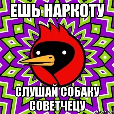 ешь наркоту слушай собаку советчецу, Мем Омская птица