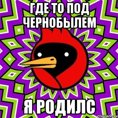 где то под чернобылем я родилс, Мем Омская птица