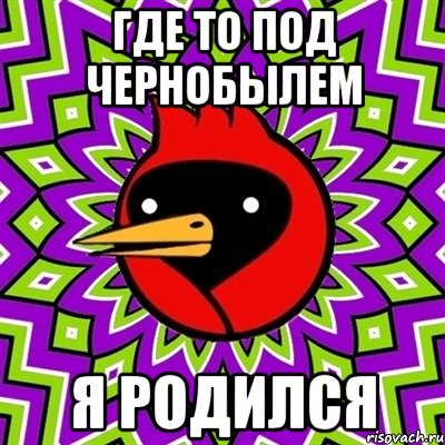 где то под чернобылем я родился, Мем Омская птица