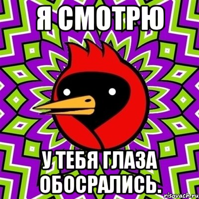 я смотрю у тебя глаза обосрались., Мем Омская птица