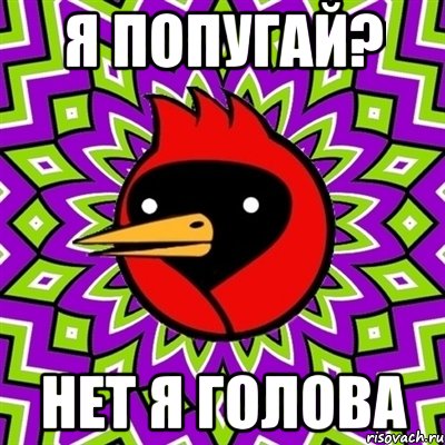 Я ПОПУГАЙ? НЕТ Я ГОЛОВА, Мем Омская птица