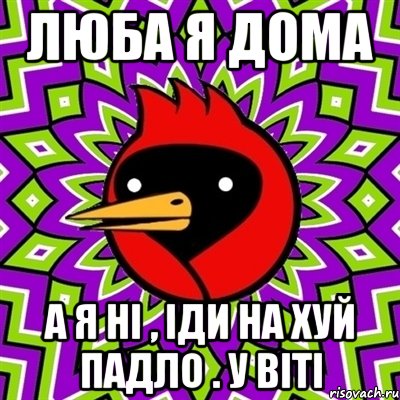 люба я дома а я ні , іди на хуй падло . у віті, Мем Омская птица