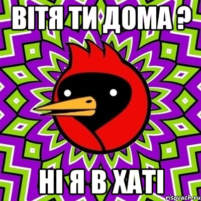 вітя ти дома ? ні я в хаті, Мем Омская птица