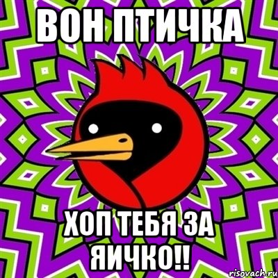 Вон птичка Хоп тебя за яичко!!, Мем Омская птица
