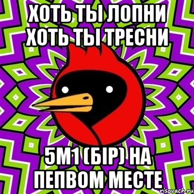 хоть ты лопни хоть ты тресни 5М1 (бIр) на пепвом месте, Мем Омская птица