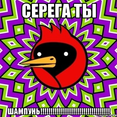 СЕРЕГА ТЫ ШАМПУНЬ!!!!!!!!!!!!!!!!!!!!!!!!!!!!!!!!!!, Мем Омская птица