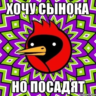 Хочу сынока Но посадят, Мем Омская птица