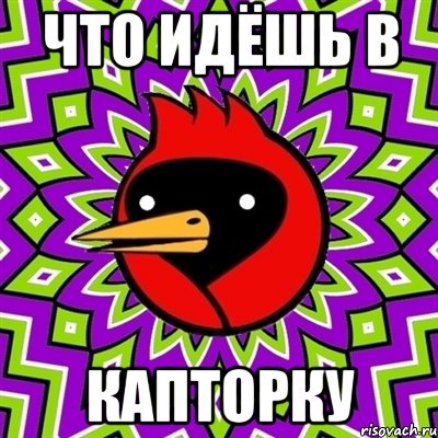 Что идёшь в Капторку, Мем Омская птица
