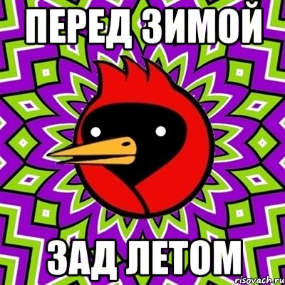 перед зимой зад летом, Мем Омская птица