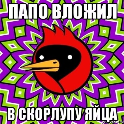 Папо вложил в скорлупу яйца, Мем Омская птица