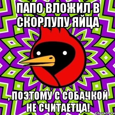 Папо вложил в скорлупу яйца , поэтому с собачкой не считаетца!, Мем Омская птица