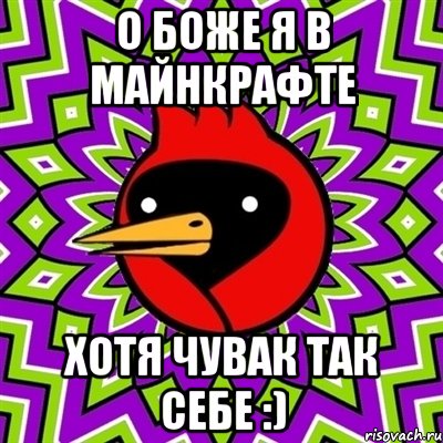 О боже я в майнкрафте хотя чувак так себе :), Мем Омская птица