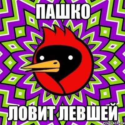 Пашко Ловит левшей, Мем Омская птица