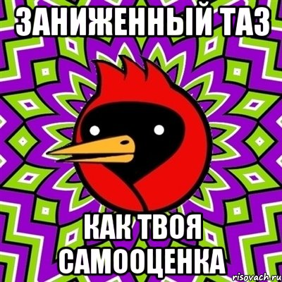 Заниженный таз Как твоя самооценка, Мем Омская птица
