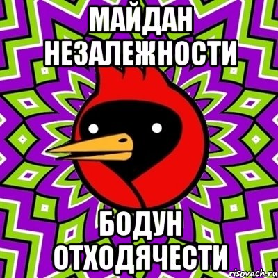 Майдан Незалежности Бодун Отходячести, Мем Омская птица