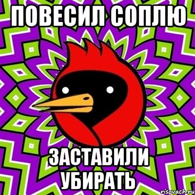 повесил соплю заставили убирать, Мем Омская птица