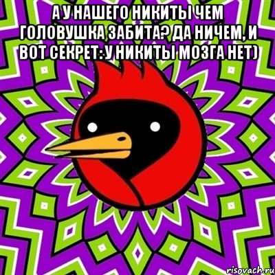 А у нашего Никиты Чем головушка забита? Да ничем, и вот секрет: У Никиты мозга нет) , Мем Омская птица
