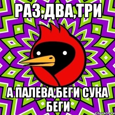 Раз,два,три А палева,беги сука беги, Мем Омская птица