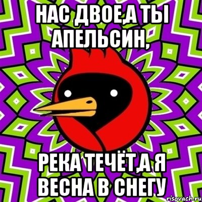 Нас двое,а ты апельсин, река течёт,а я весна в снегу, Мем Омская птица