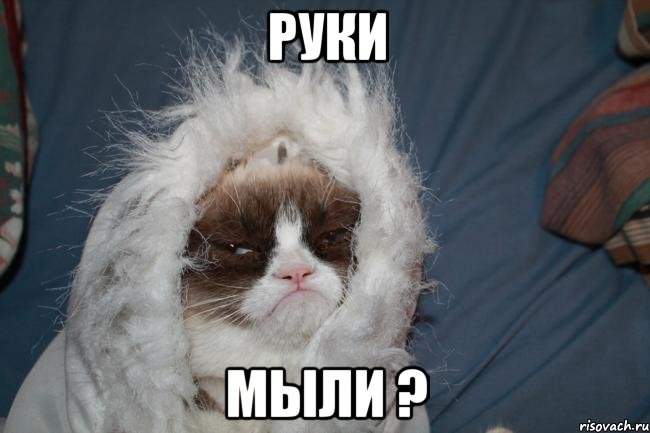 руки мыли ?