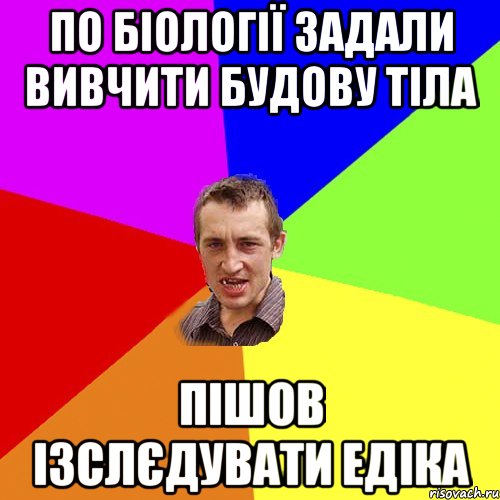 по біології задали вивчити будову тіла пішов ізслєдувати едіка, Мем Чоткий паца